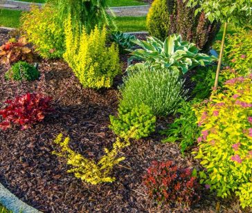 progettazione-giardini