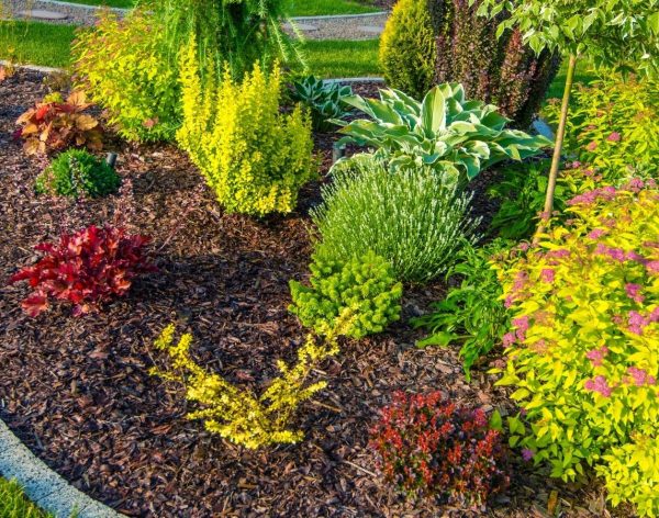 progettazione-giardini